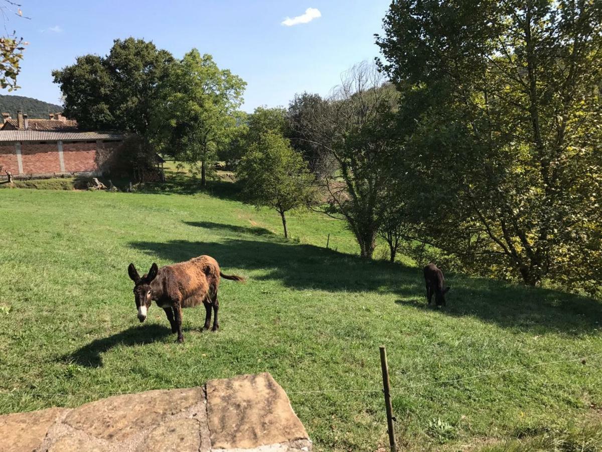 Casa Can Boix La Vall de Bianya Eksteriør bilde
