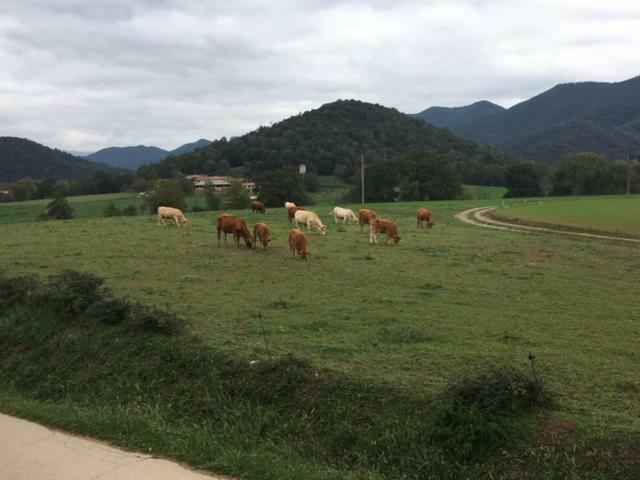 Casa Can Boix La Vall de Bianya Eksteriør bilde